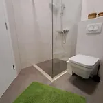 5d Apartment Lopar
